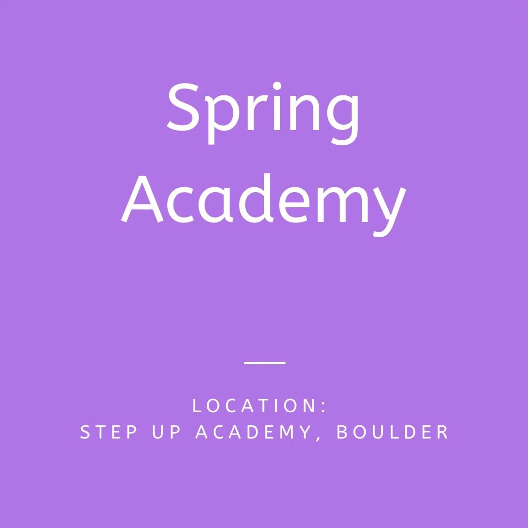 Spring Academy.jpg (Copy)