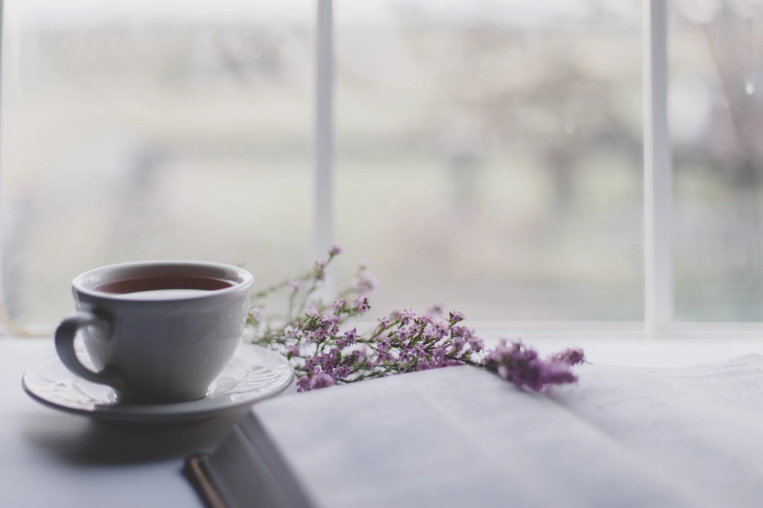 Women's Bible Study 