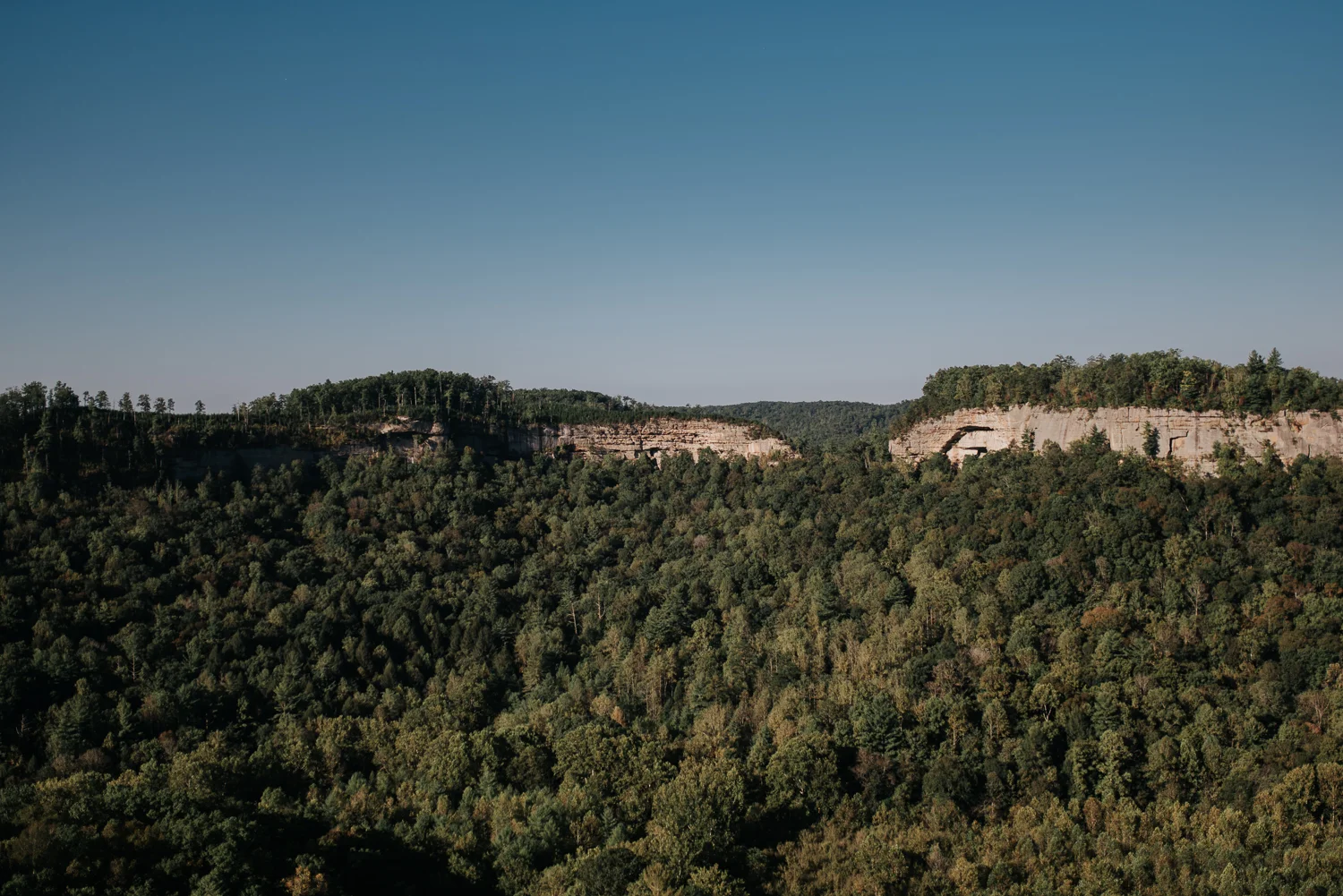 Best Eastern Kentucky Photographer