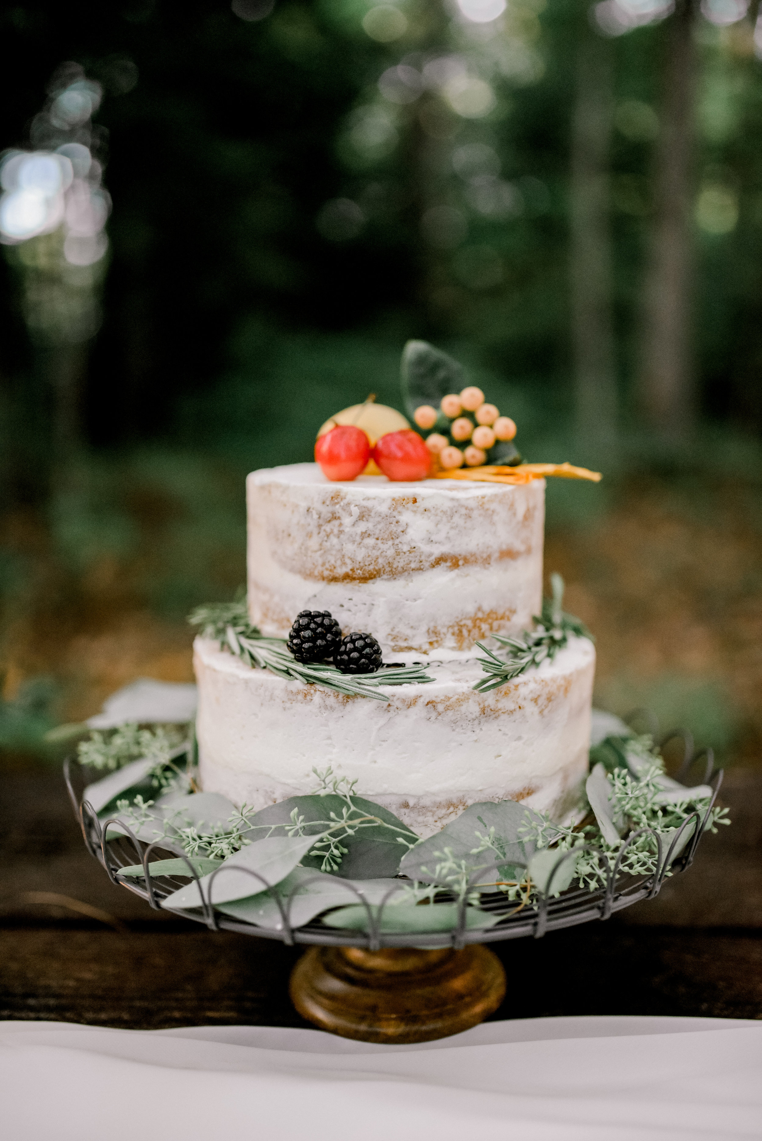 photographer-wedding-red-river-gorge-cake