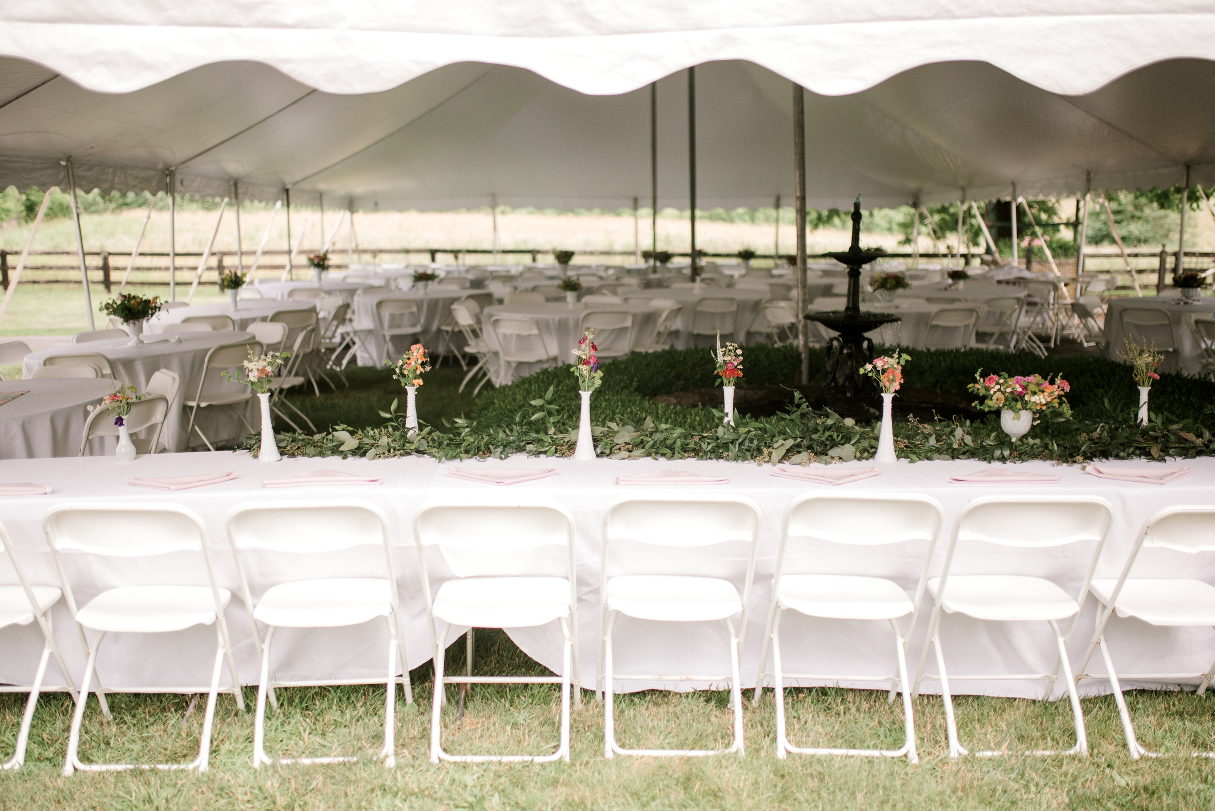 asbury-meadow-bed-and-breakfast-wedding-reception