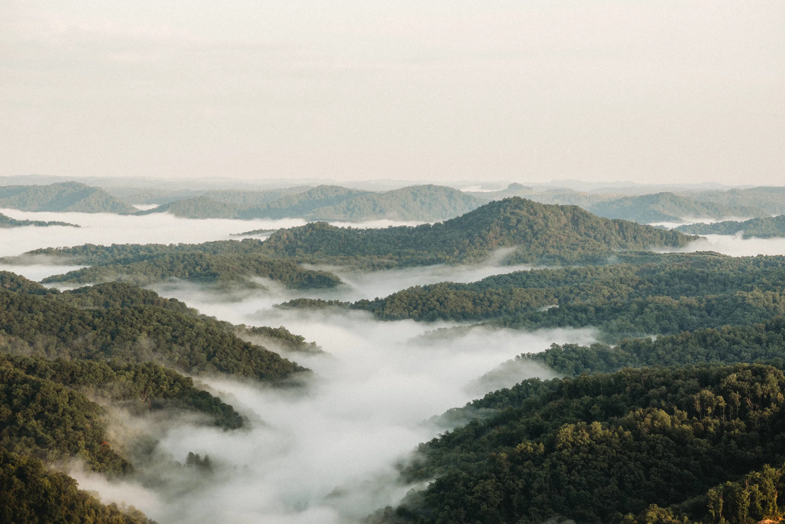 whitesburg-wedding-photographer-pine-mountain