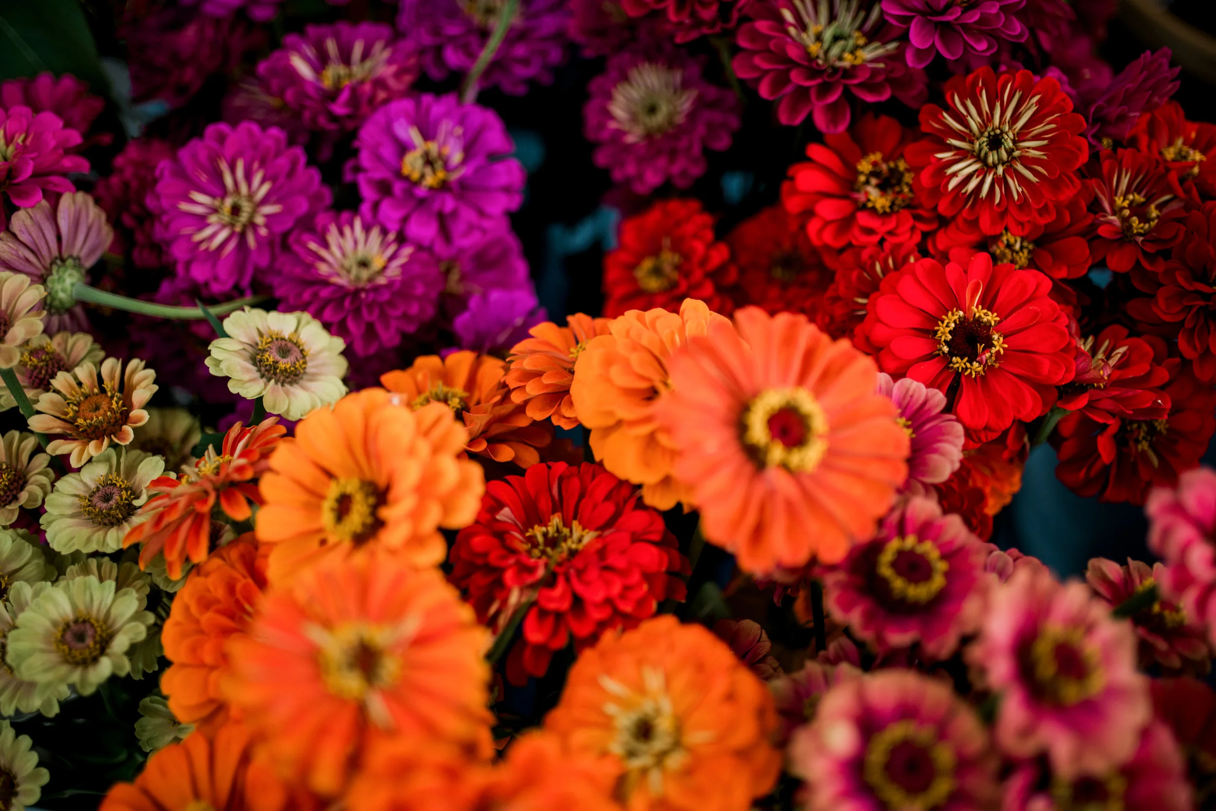 DSC_2327-Edit.jpg