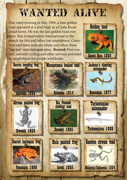 The 'Wanted Alive' poster from Conservation International's Search for Lost Frogs campaign, with the Golden Toad listed as #1. 