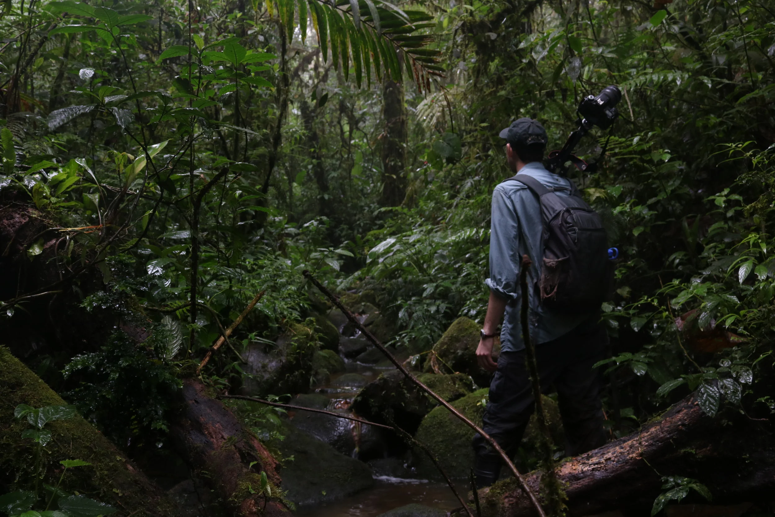 Into the Brillante: Part II