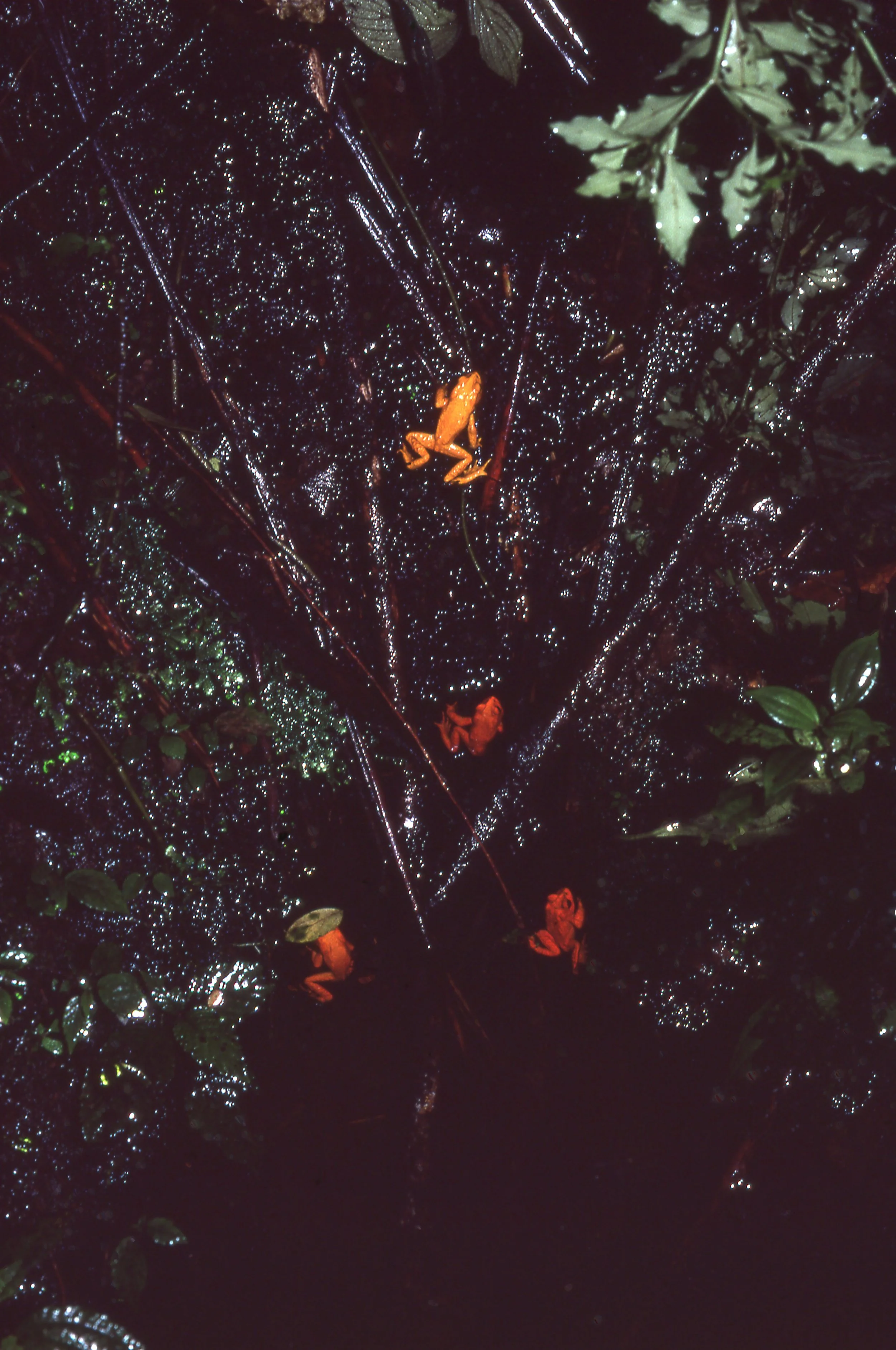 img043.jpg