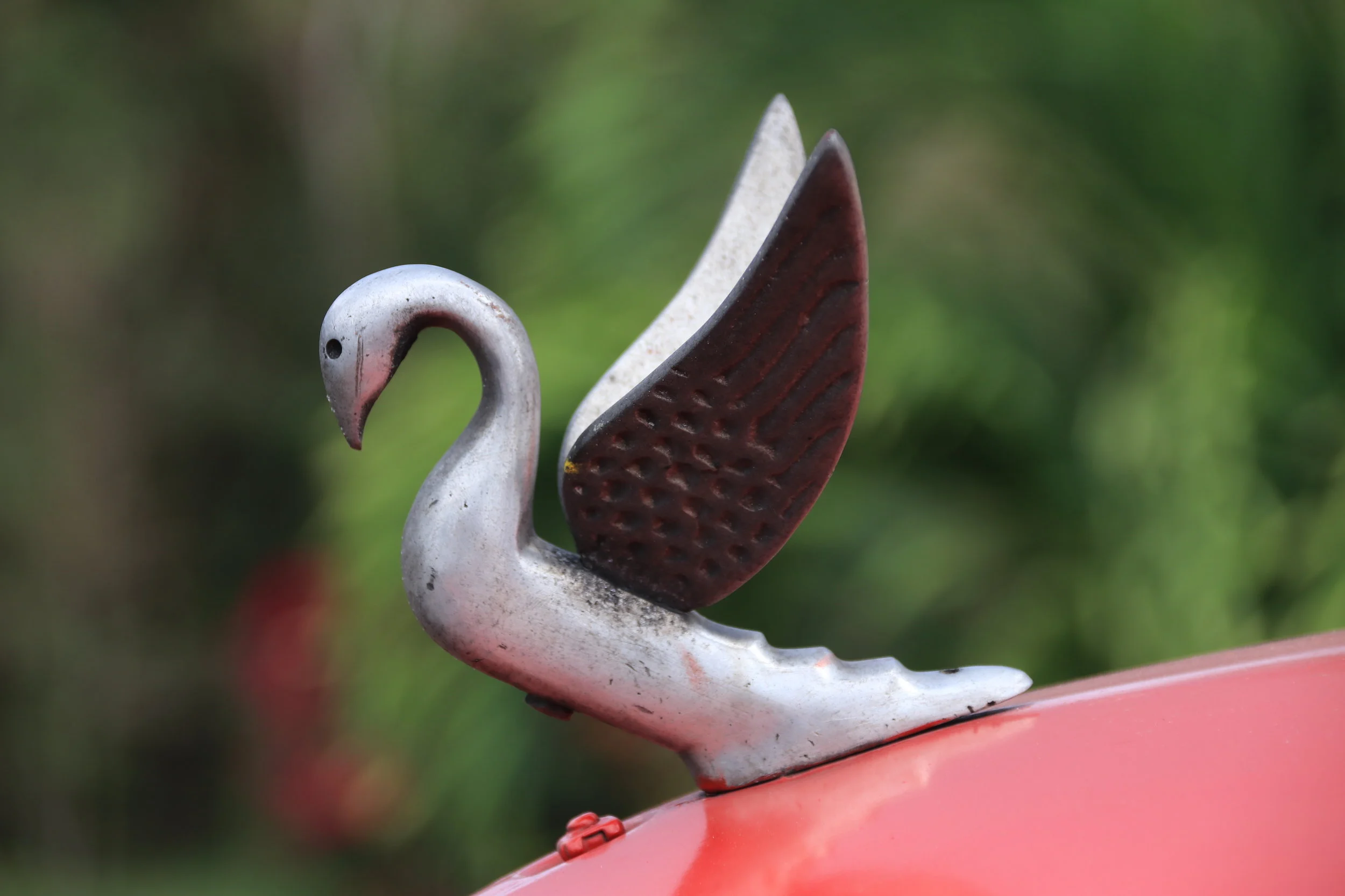 IMG_0851-hood-ornament.JPG