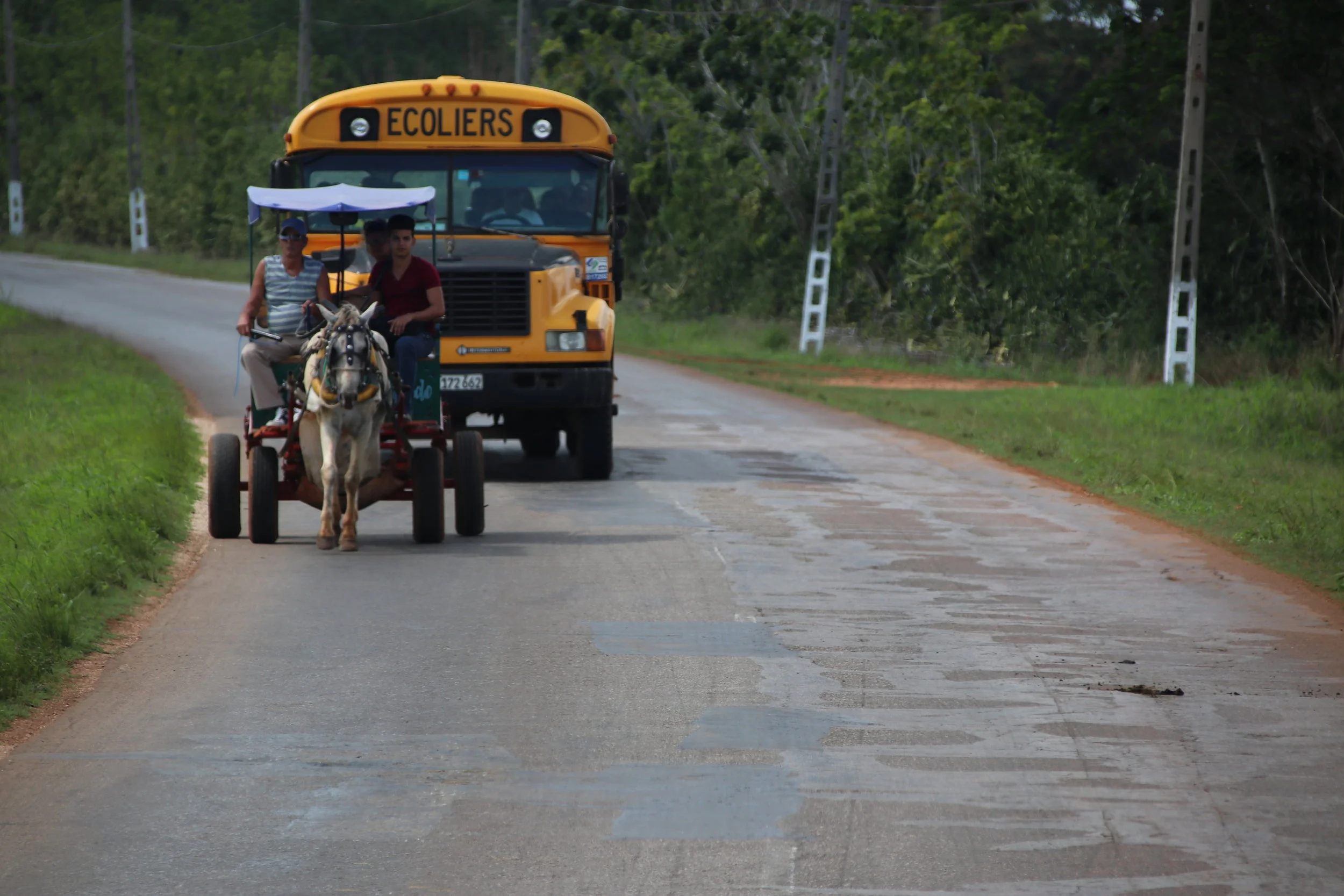 IMG_2593 school bus.JPG