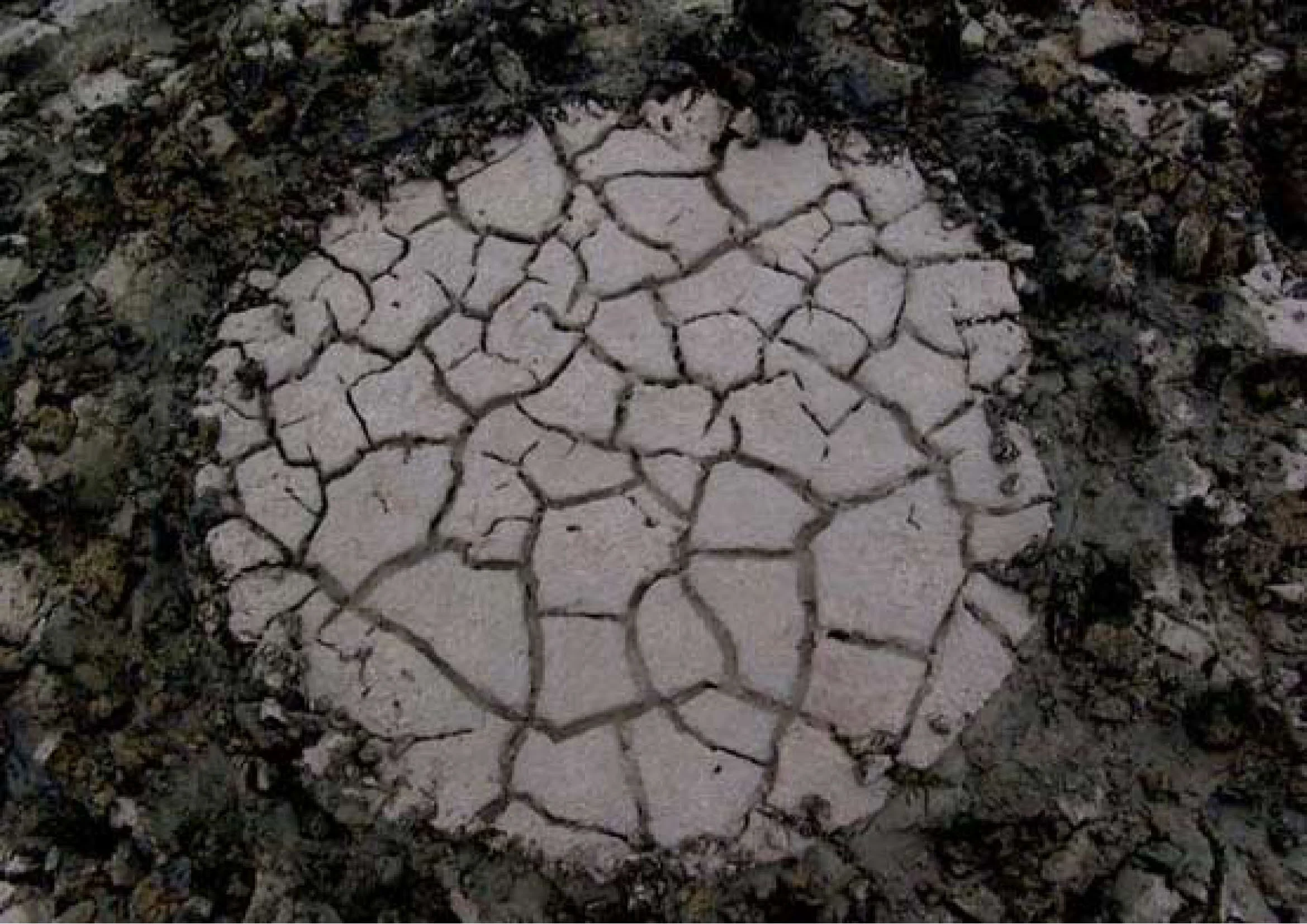 Gavkhouni wetland_Page_05.jpg