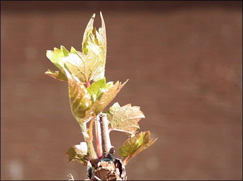 One of these things is not like the others...