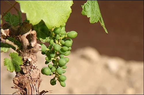 Keep on keepin' on...