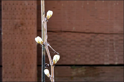 The Sleepers REALLY are awakening