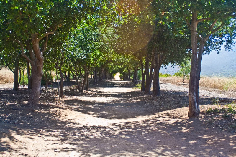 First Peak Completed - Iron Mountain