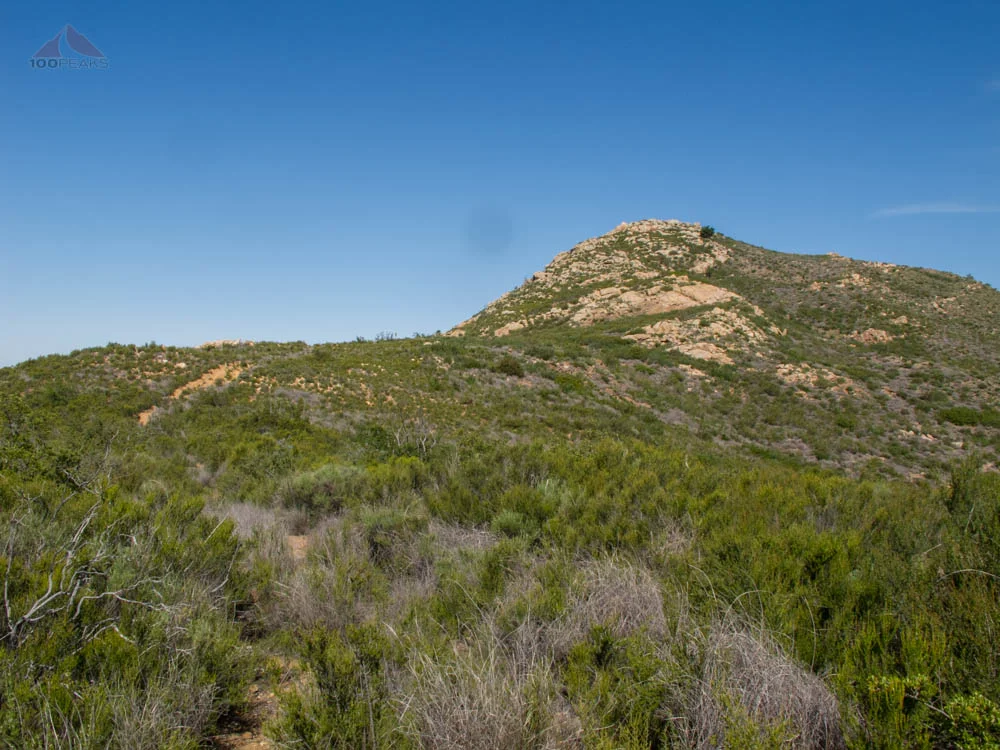 Sunshine Mountain - SD Peak #62 redo - Too many ticks