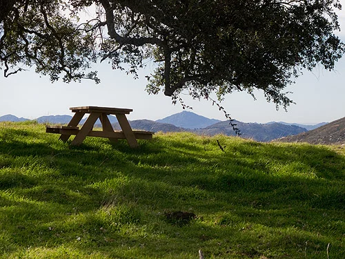 It's the little moments that count