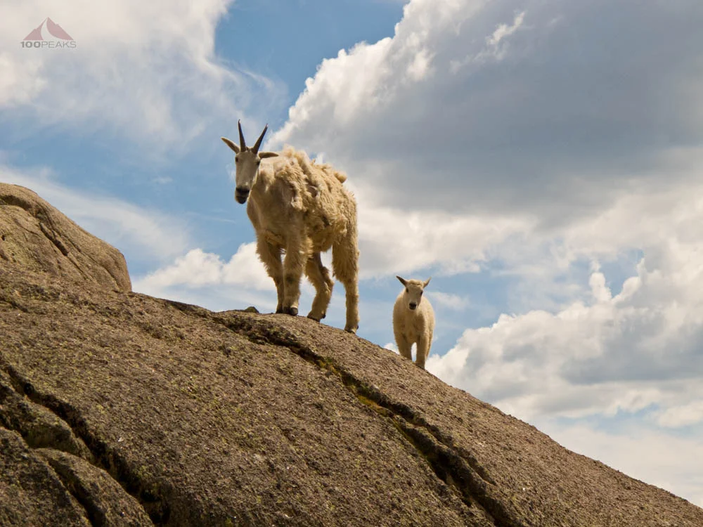 100 Peaks Turns 4 Years Old