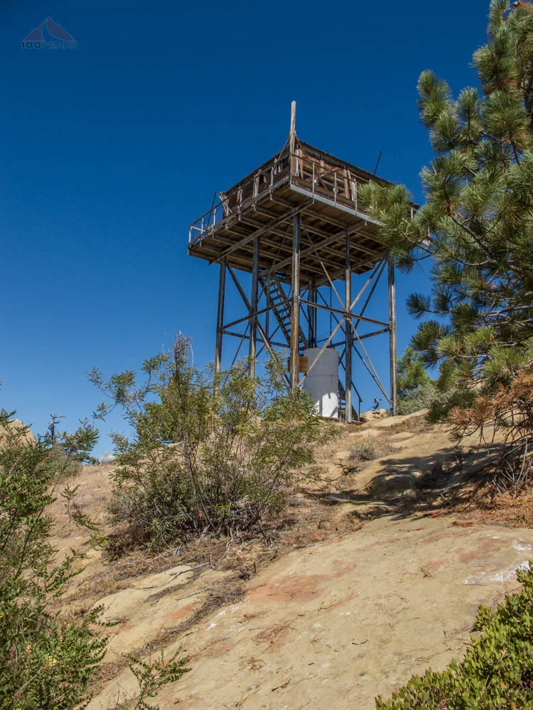 Thorn Point - Peak #22 - Sharing the trail with bear tracks