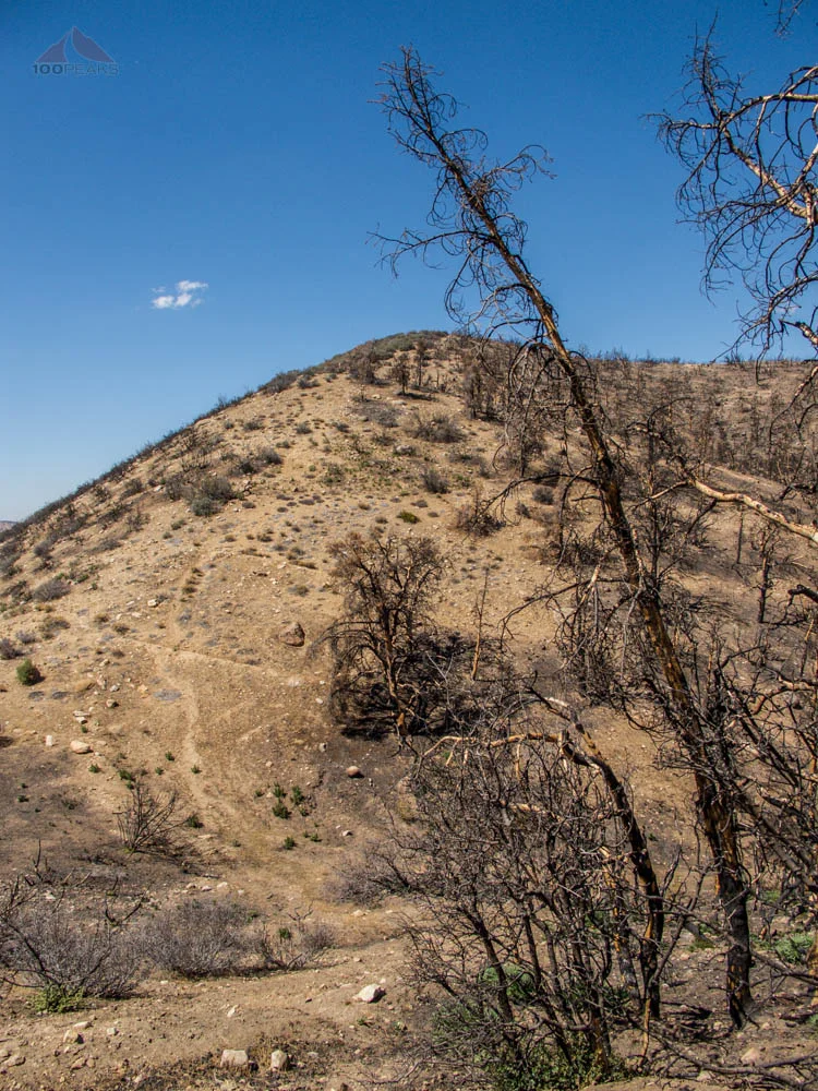San Guillermo Mountain - Peak #23 - A short steep hike