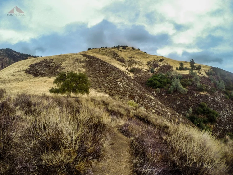 Grass Mountain - Peak #27 - A rainy day on the trail