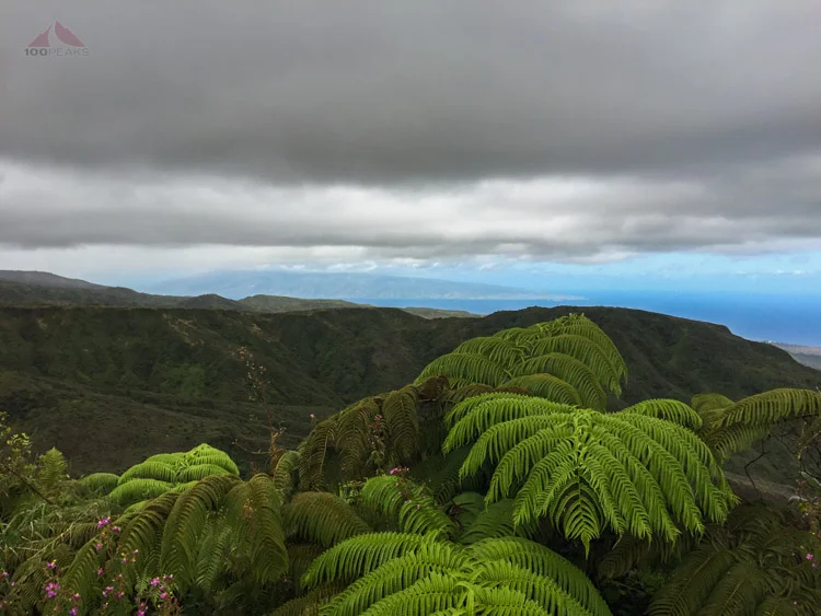 Lanilili - A fun and muddy hike to a peak on Maui