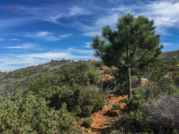 Big Black Mountain - SD Peak #70 - My first section hike