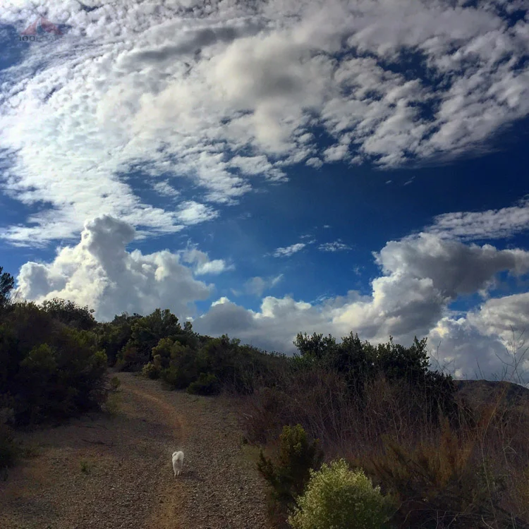 The outdoors, escapism, and selling hamburgers