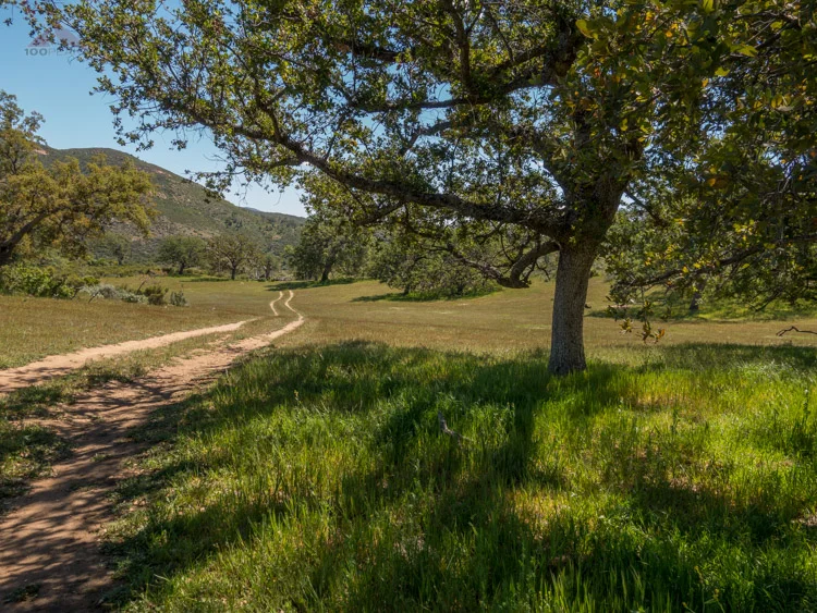 The Thrill of Discovery