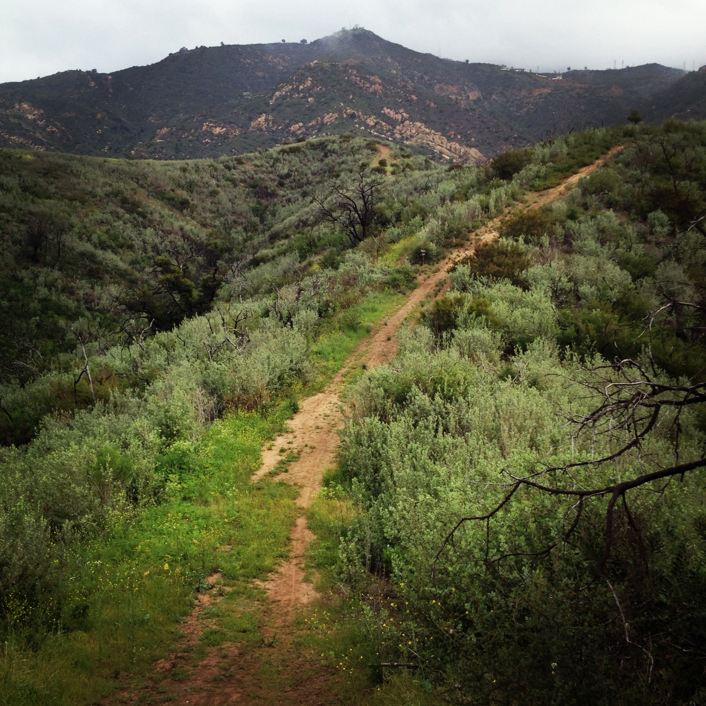 Steep-Trail-toward-the-top.jpg