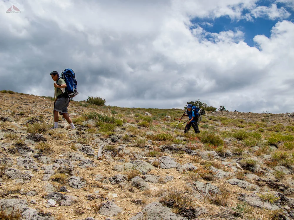 Almost back to the top of Mount Pinos