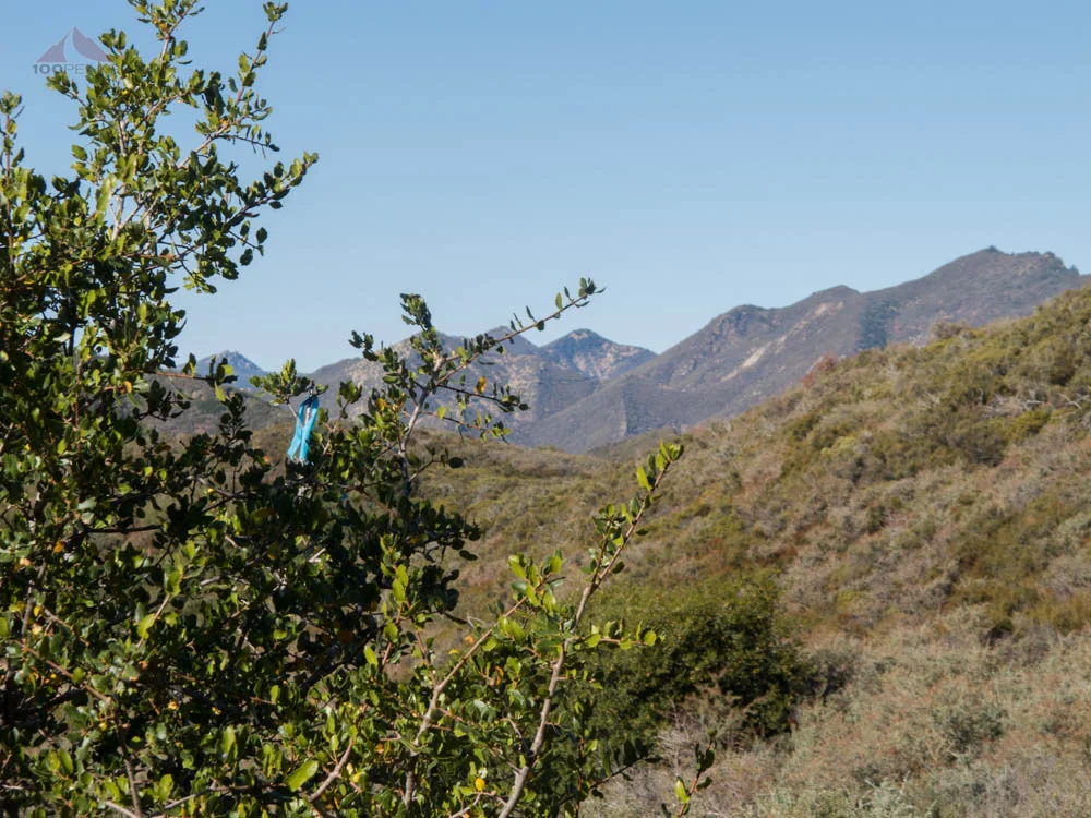 Aim towards this blue ribbon