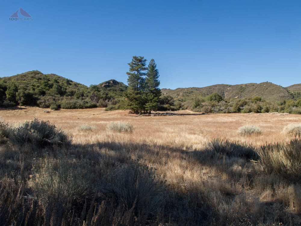 At the edge of the 4th Basin on Dry Lakes Ridge