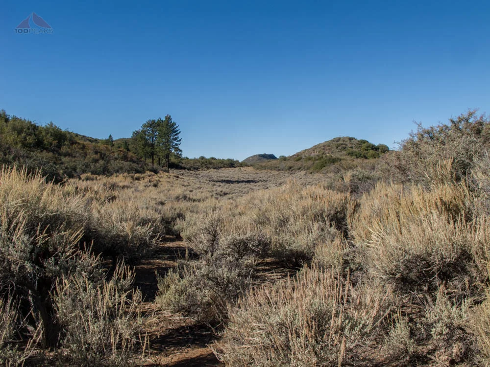 In basin #2 on Dry Lakes Ridge