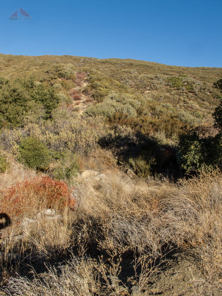 The trail up to Dry Lakes Ridge