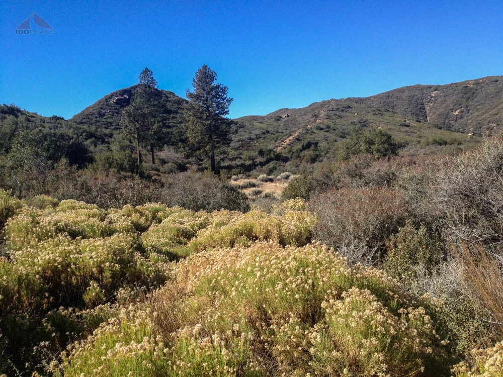 The view to basin #5, brush was too high for my mood