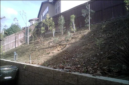 The bare slope
