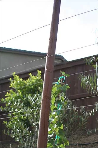 Wires in a row
