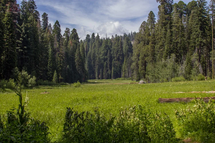 Crescent Meadow