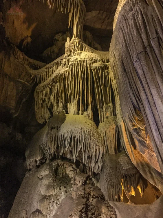 The Organ Formation in Crystal Cave