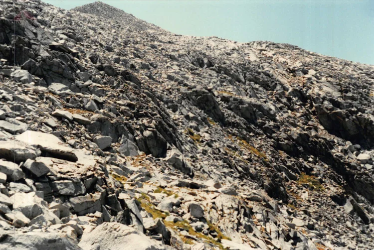 The way down