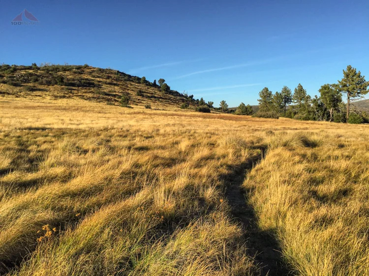East Mesa highpoint, almost to Granite Springs Trail Camp