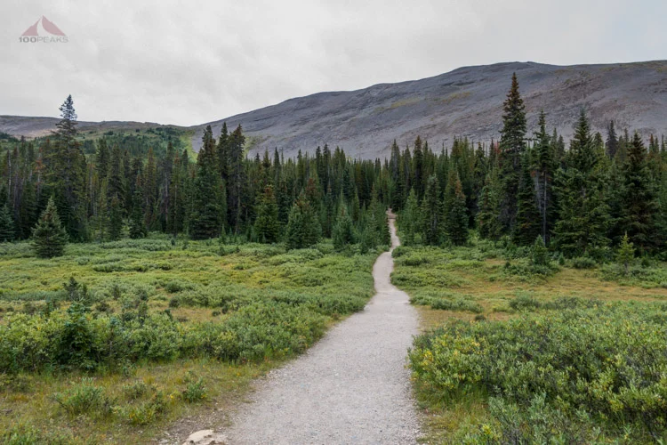 The Parker Ridge Trail