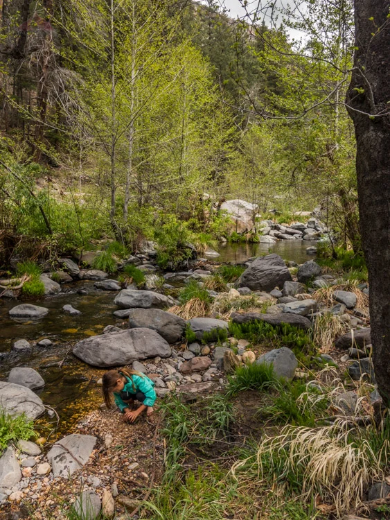 At home along Oak Creek