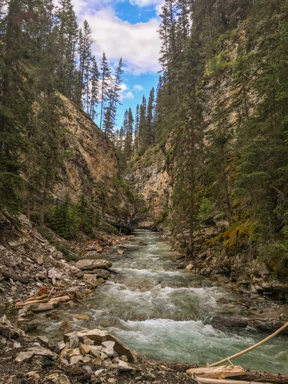 Johnston Creek in Johnston Canyon