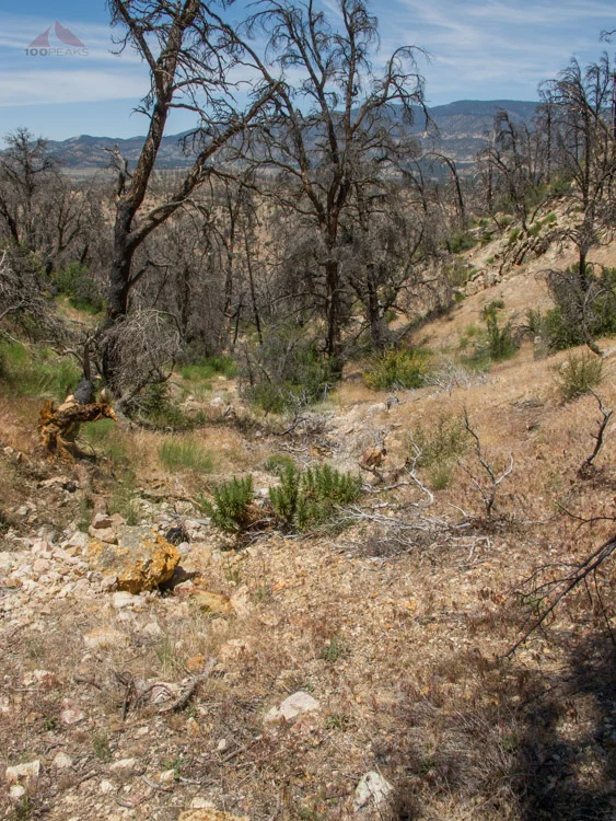 The way back down from Lockwood Peak