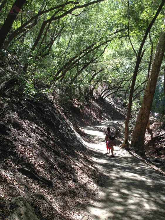 The trail to Nojoqui Falls is short, but beautiful