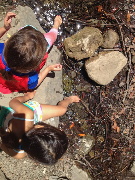 Playing in the stream