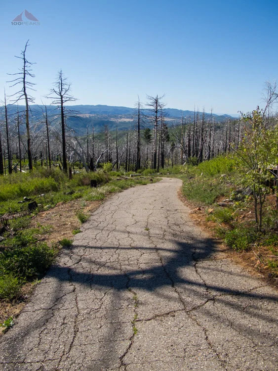 Lookout Road to Cuyamaca Peak