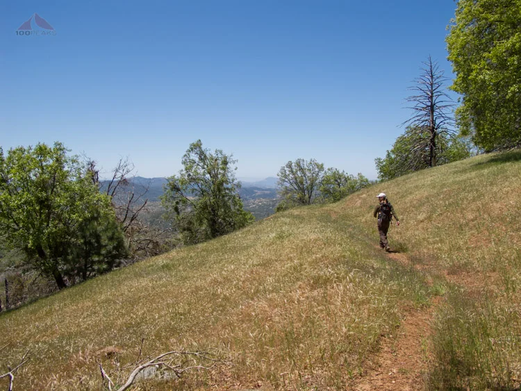 The PD on the Lower Burnt Pine Trail Grasslands