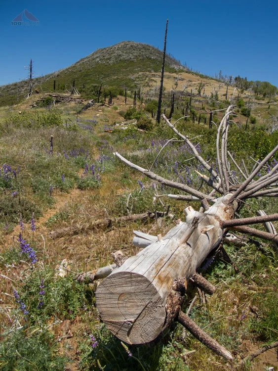 Japacha Peak from the Trail Junction of Arroyo Seco and West Mesa