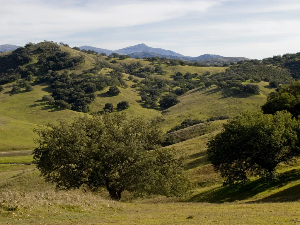 Santa Ysabel